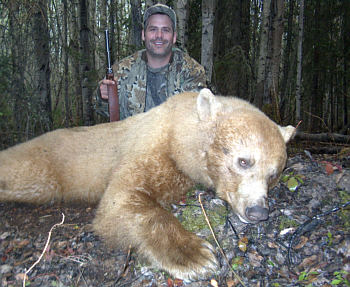 Trophy Moose Hunting in Canada